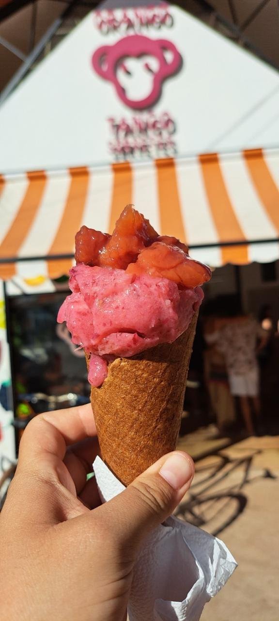 Discovering new passions on my travels cajuzinho do cerrado ice-cream