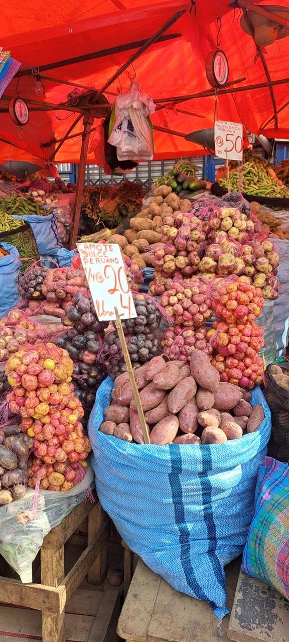 Viagens pela América Latina
