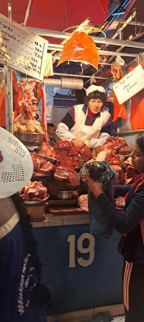 Viagens pela América Latina