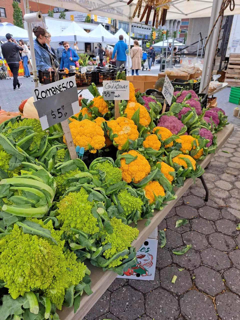 Visita a mercados centrais pelos EUA