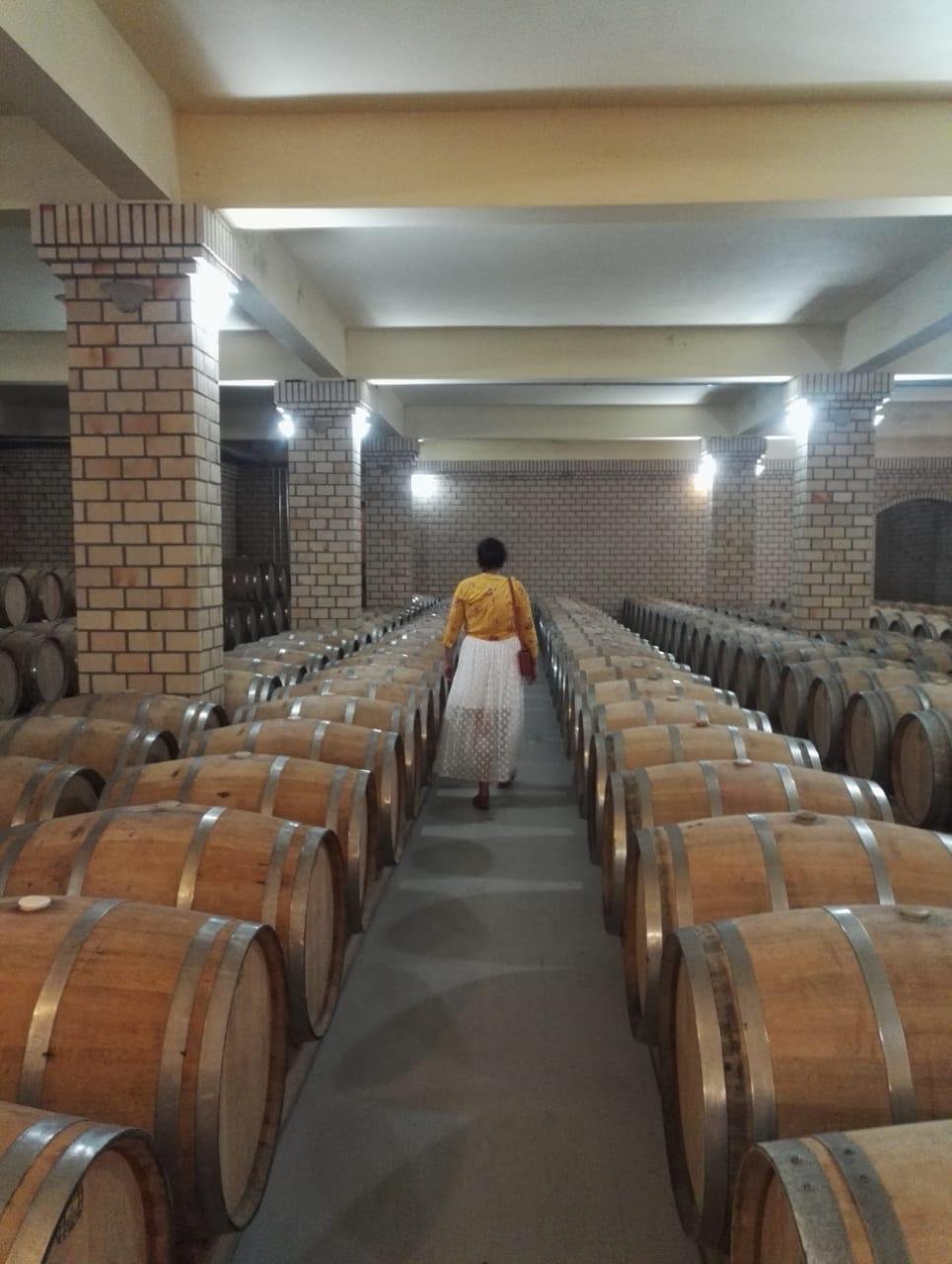 Visita a vinícolas