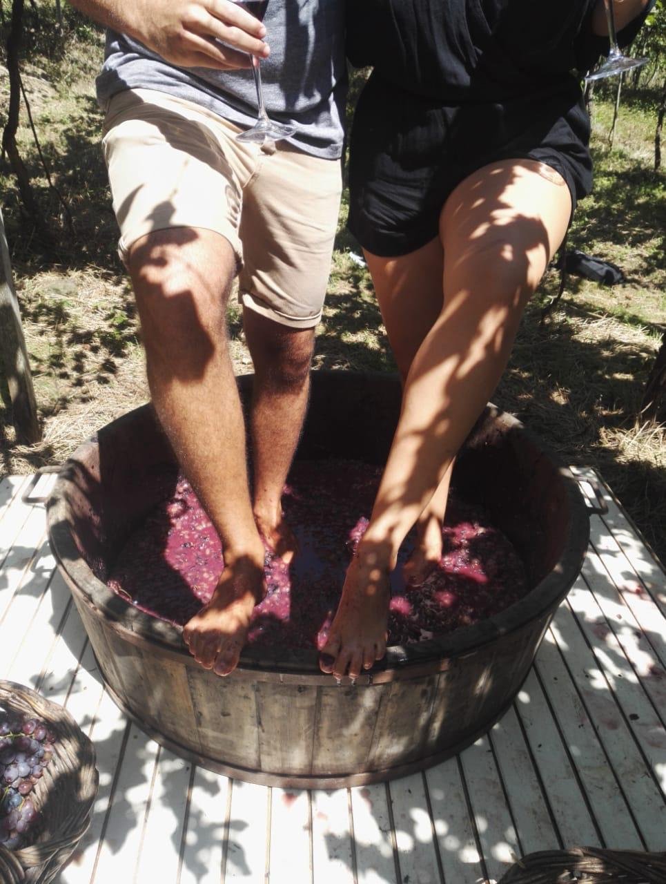 Visiting wineries